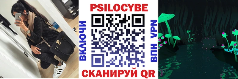 Галлюциногенные грибы Psilocybe  Ахтубинск 