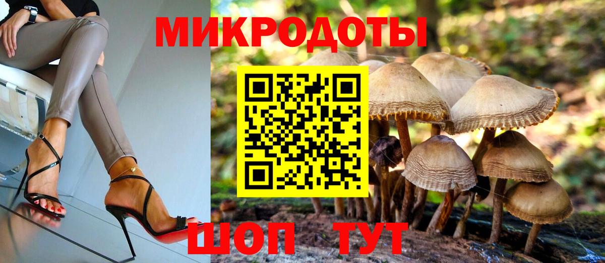 Галлюциногенные грибы GOLDEN TEACHER  Ахтубинск  где купить наркоту  Псилоцибиновые грибы мицелий 